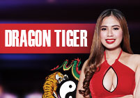 Dragon Tiger Opus
